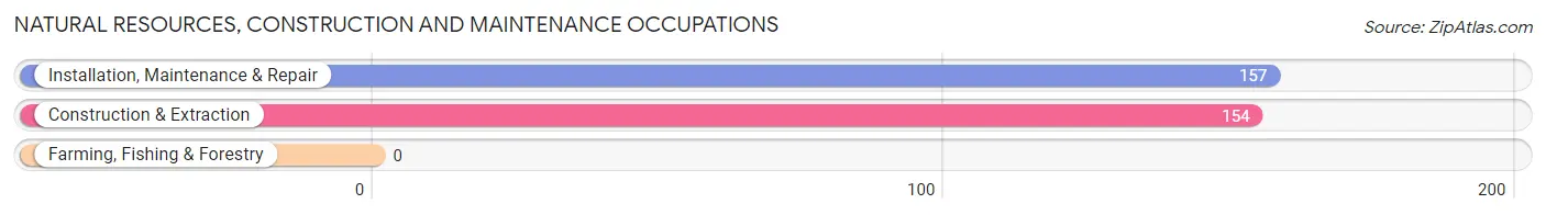 Natural Resources, Construction and Maintenance Occupations in Zip Code 40242