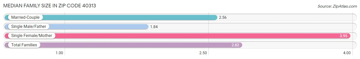 Median Family Size in Zip Code 40313