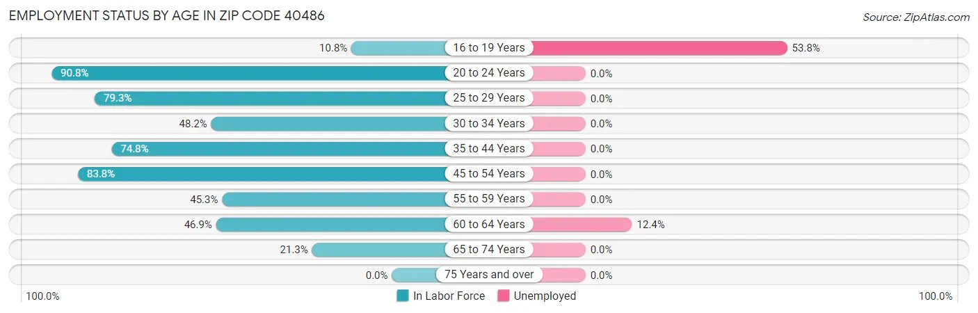 Employment Status by Age in Zip Code 40486