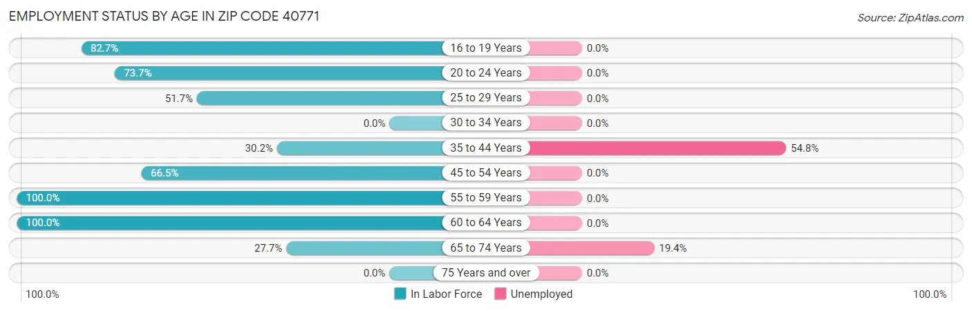 Employment Status by Age in Zip Code 40771
