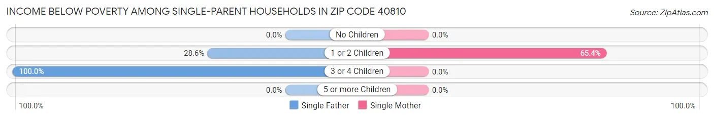Income Below Poverty Among Single-Parent Households in Zip Code 40810