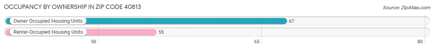 Occupancy by Ownership in Zip Code 40813