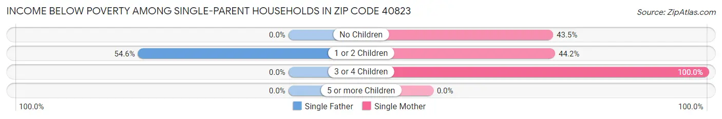 Income Below Poverty Among Single-Parent Households in Zip Code 40823