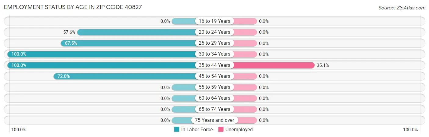 Employment Status by Age in Zip Code 40827