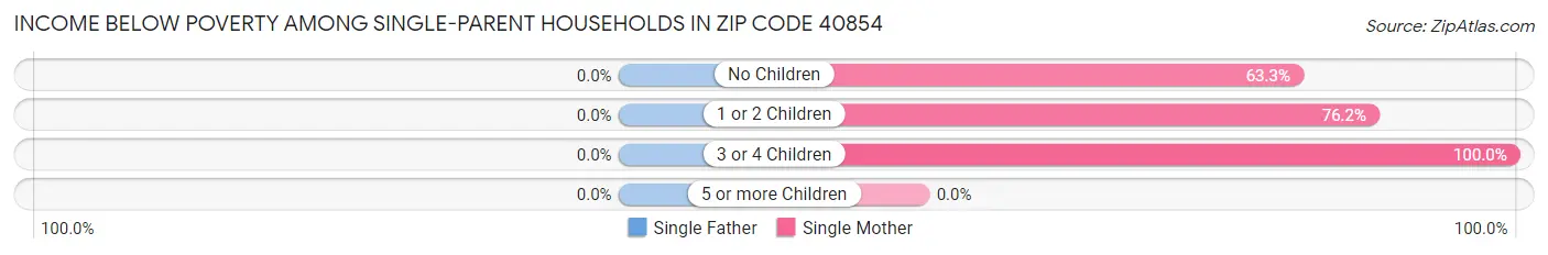 Income Below Poverty Among Single-Parent Households in Zip Code 40854