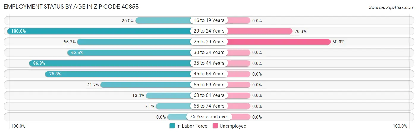 Employment Status by Age in Zip Code 40855