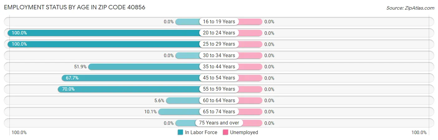 Employment Status by Age in Zip Code 40856