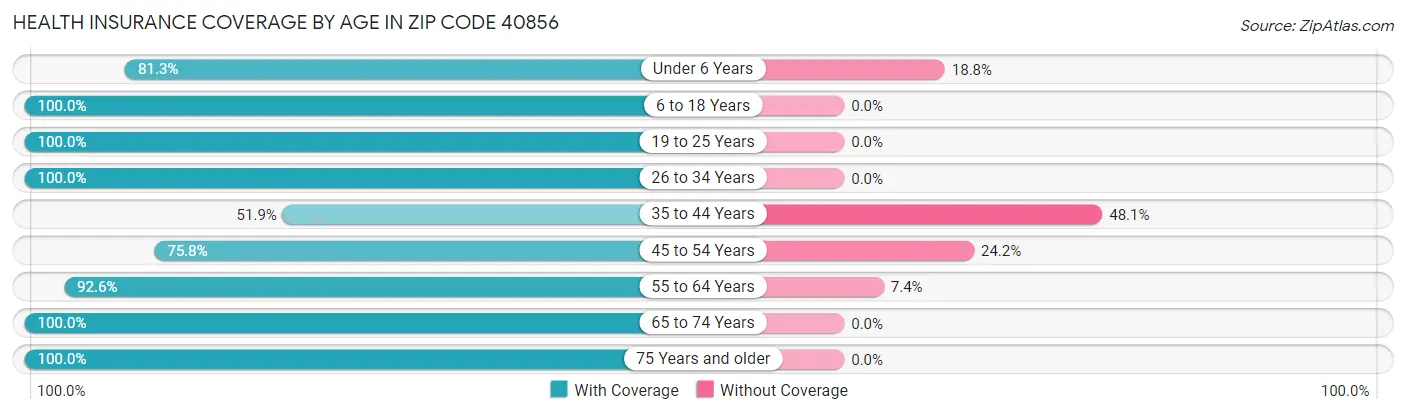 Health Insurance Coverage by Age in Zip Code 40856