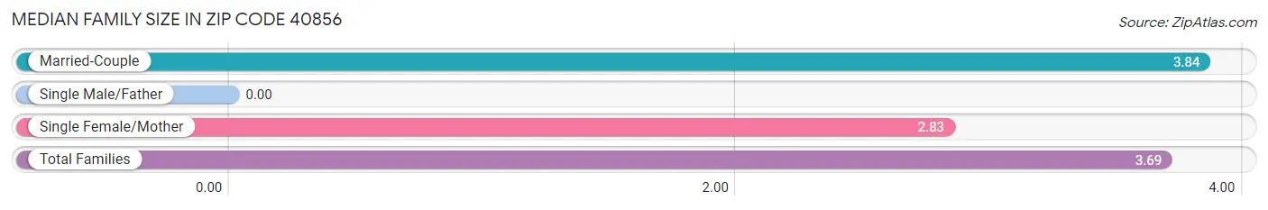 Median Family Size in Zip Code 40856