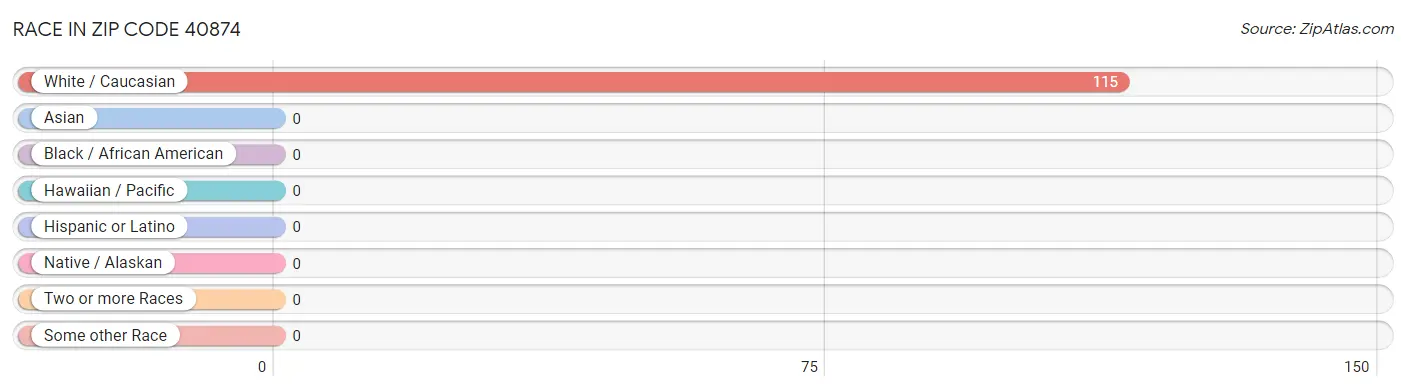 Race in Zip Code 40874
