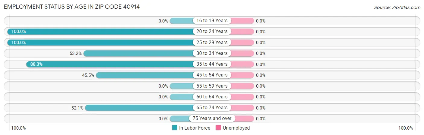 Employment Status by Age in Zip Code 40914