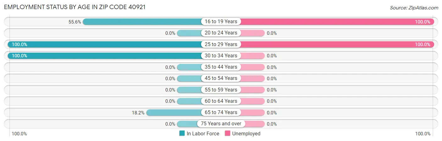Employment Status by Age in Zip Code 40921