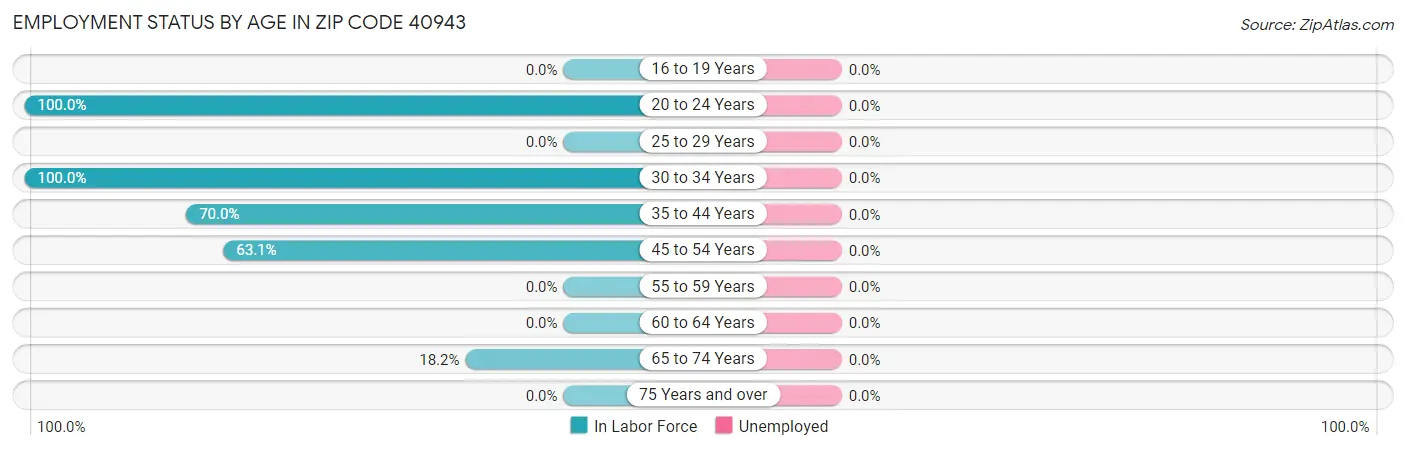 Employment Status by Age in Zip Code 40943