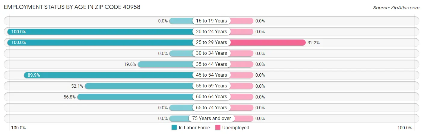 Employment Status by Age in Zip Code 40958