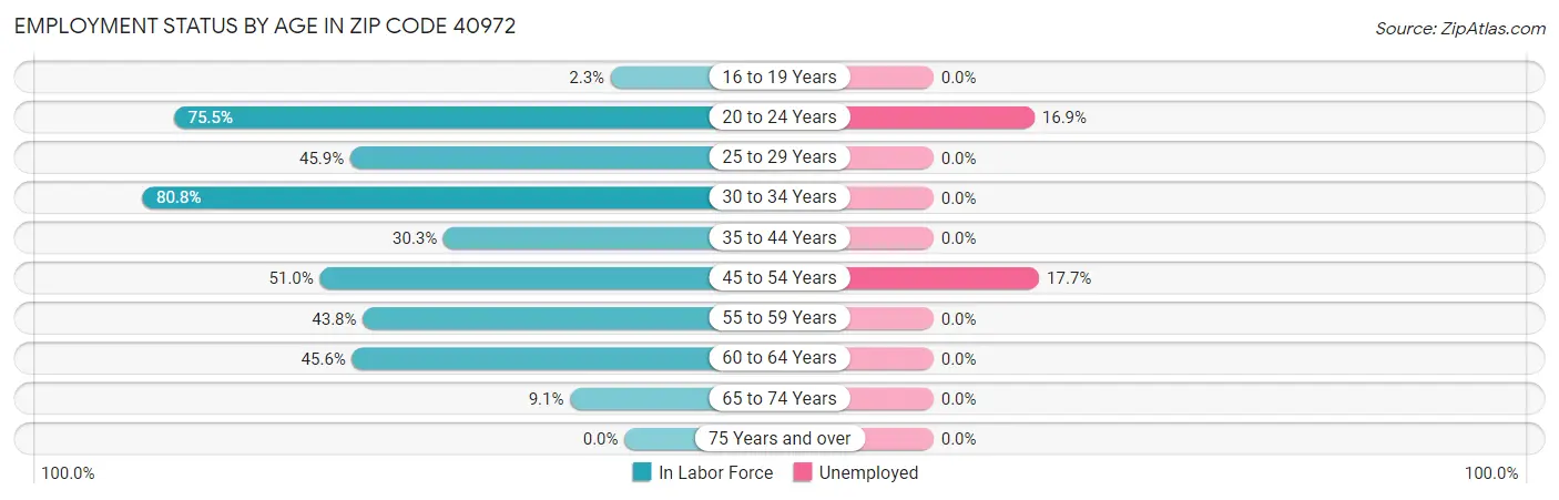 Employment Status by Age in Zip Code 40972