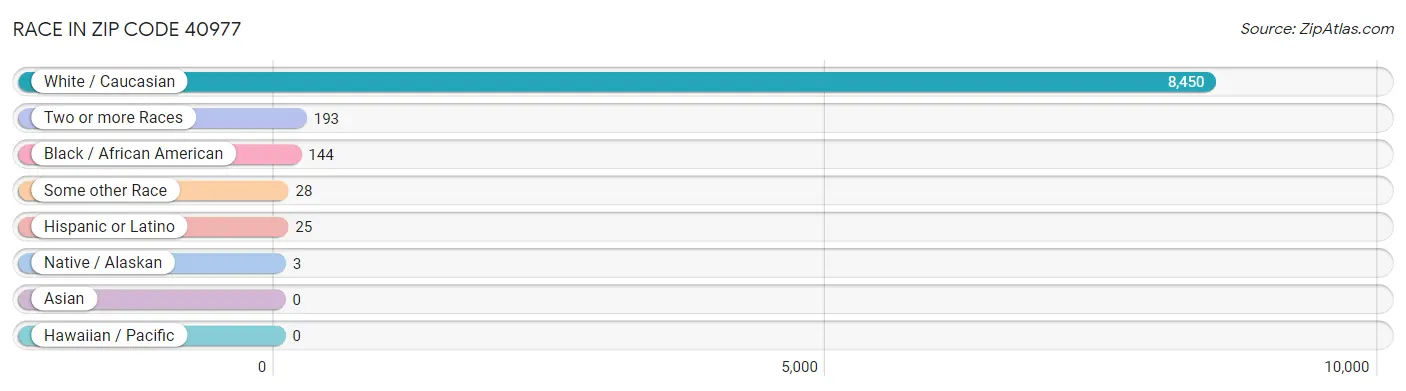 Race in Zip Code 40977
