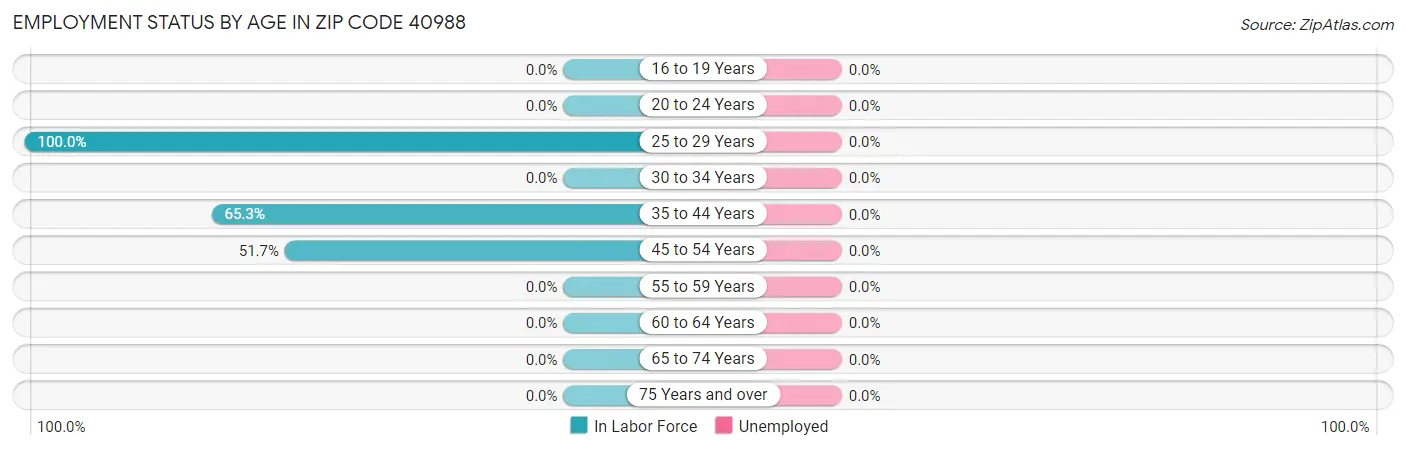 Employment Status by Age in Zip Code 40988