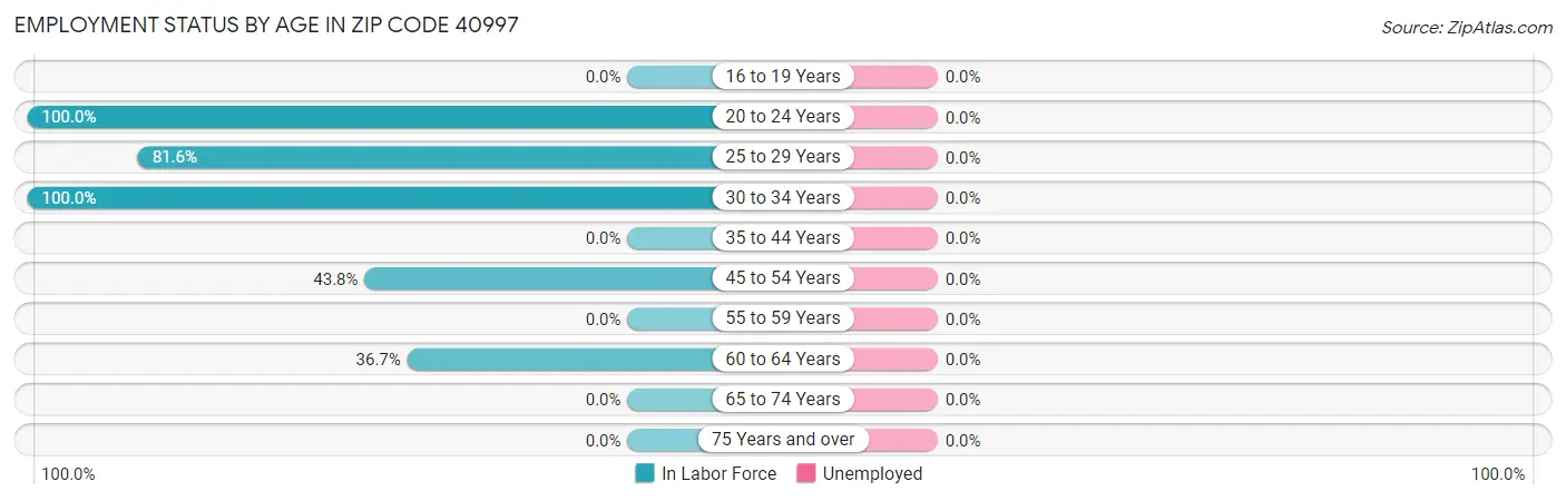 Employment Status by Age in Zip Code 40997