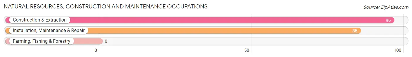 Natural Resources, Construction and Maintenance Occupations in Zip Code 41006