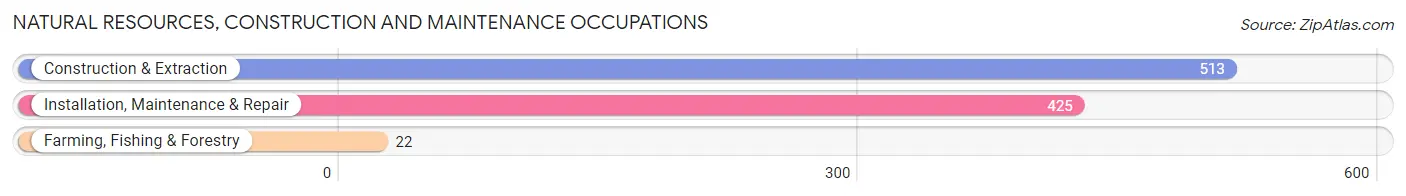 Natural Resources, Construction and Maintenance Occupations in Zip Code 41018