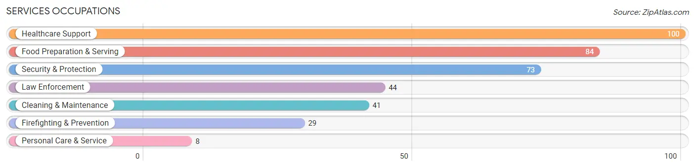 Services Occupations in Zip Code 41041