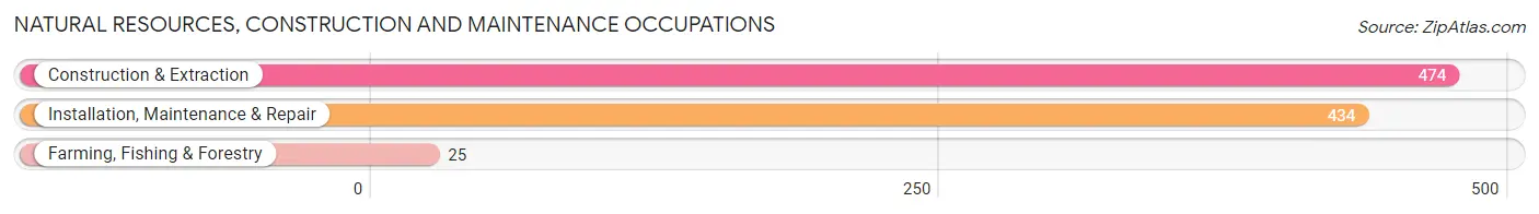 Natural Resources, Construction and Maintenance Occupations in Zip Code 41102