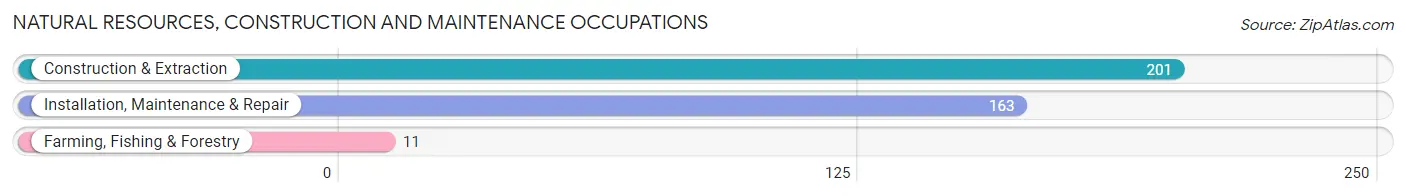 Natural Resources, Construction and Maintenance Occupations in Zip Code 41129