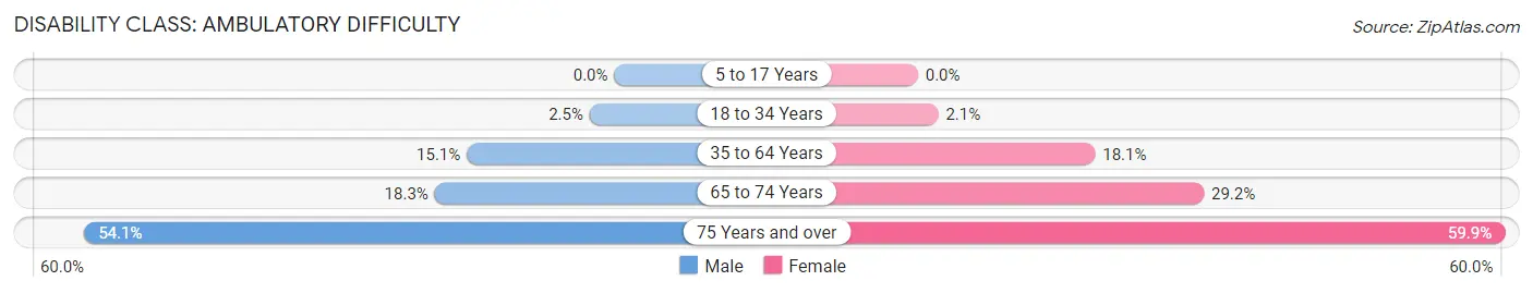 Disability in Zip Code 41143: <span>Ambulatory Difficulty</span>