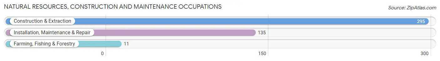 Natural Resources, Construction and Maintenance Occupations in Zip Code 41143