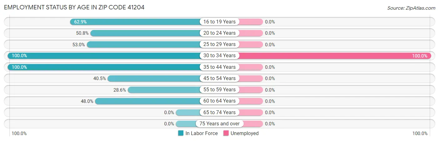 Employment Status by Age in Zip Code 41204