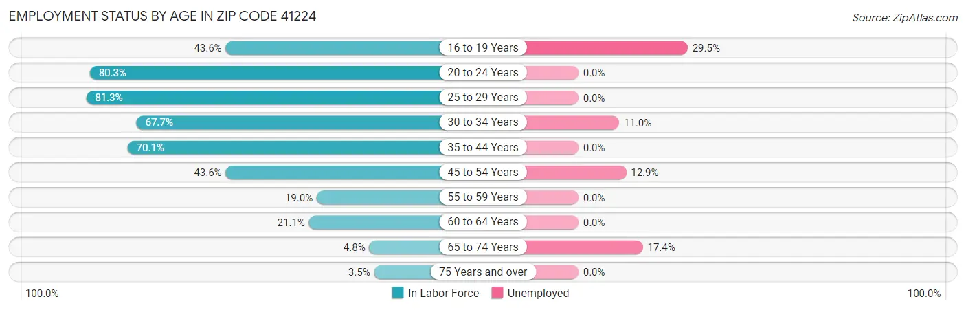 Employment Status by Age in Zip Code 41224