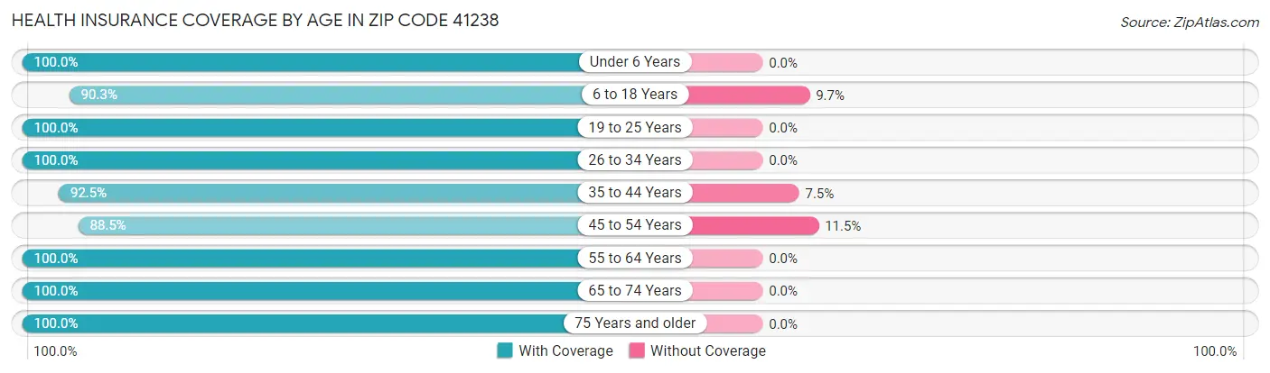 Health Insurance Coverage by Age in Zip Code 41238