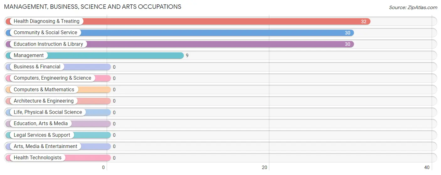 Management, Business, Science and Arts Occupations in Zip Code 41238