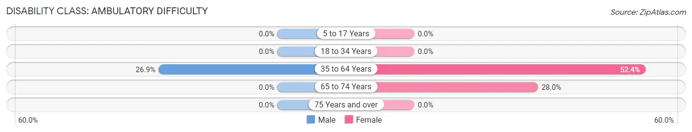Disability in Zip Code 41263: <span>Ambulatory Difficulty</span>