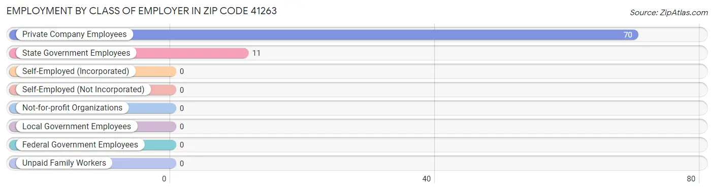 Employment by Class of Employer in Zip Code 41263