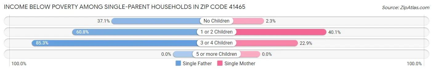 Income Below Poverty Among Single-Parent Households in Zip Code 41465