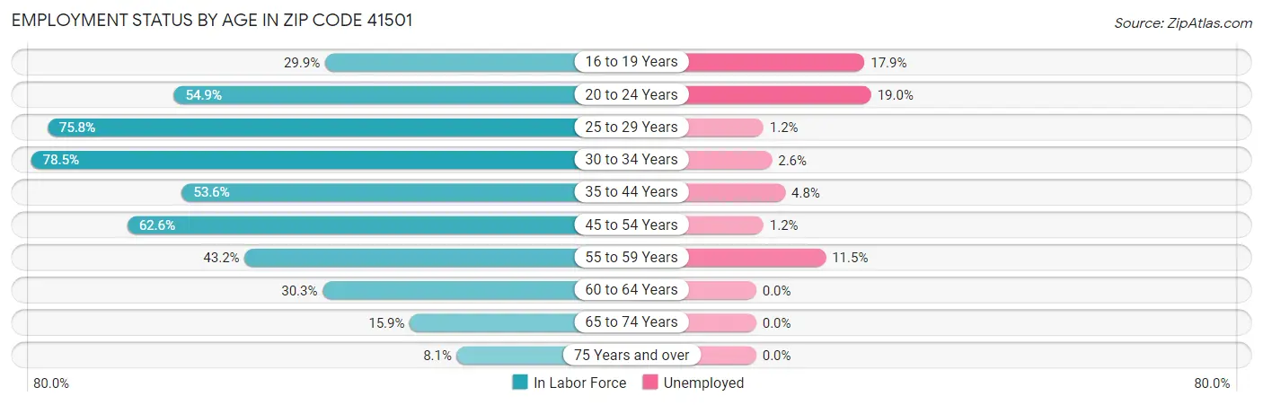 Employment Status by Age in Zip Code 41501