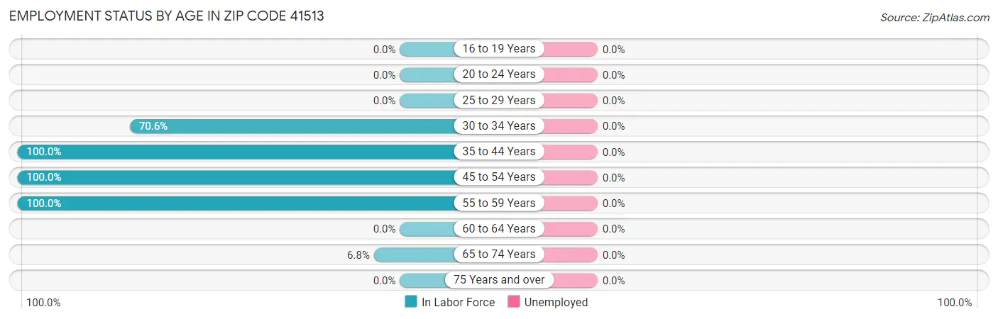 Employment Status by Age in Zip Code 41513