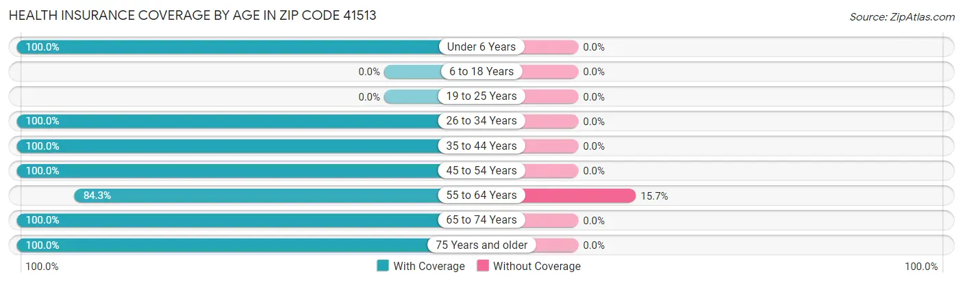 Health Insurance Coverage by Age in Zip Code 41513