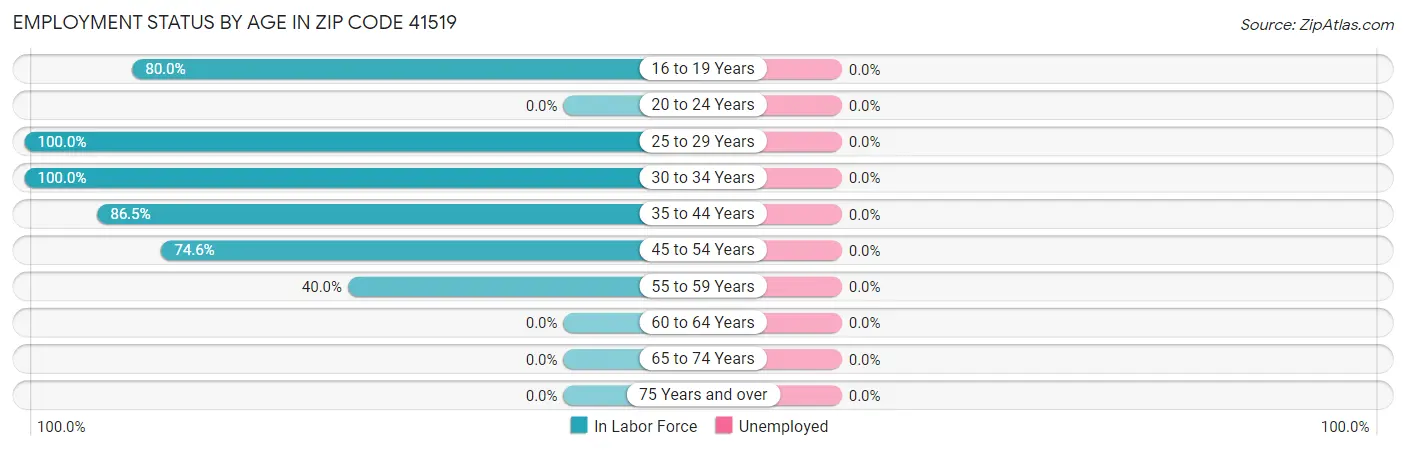Employment Status by Age in Zip Code 41519