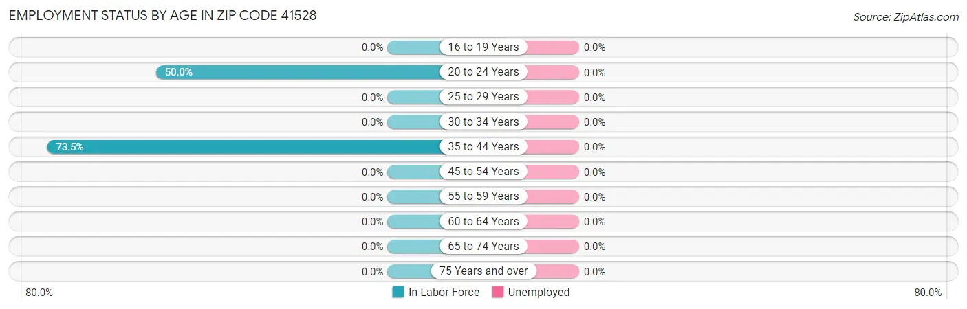 Employment Status by Age in Zip Code 41528