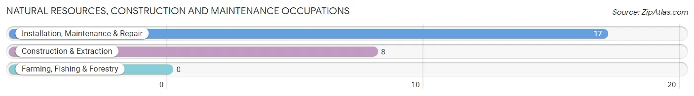 Natural Resources, Construction and Maintenance Occupations in Zip Code 41547