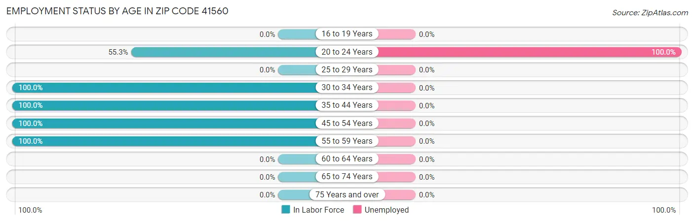 Employment Status by Age in Zip Code 41560
