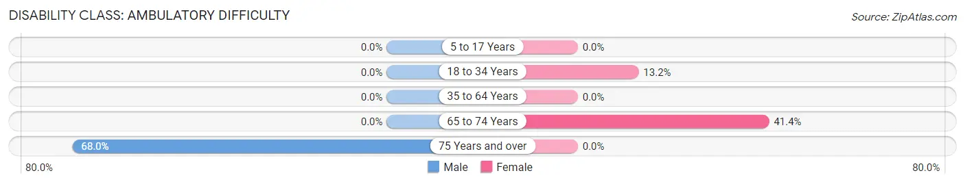 Disability in Zip Code 41566: <span>Ambulatory Difficulty</span>