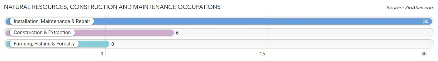 Natural Resources, Construction and Maintenance Occupations in Zip Code 41601