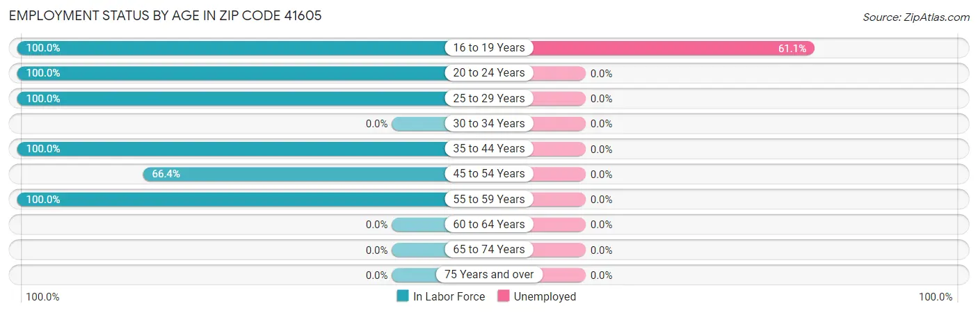 Employment Status by Age in Zip Code 41605