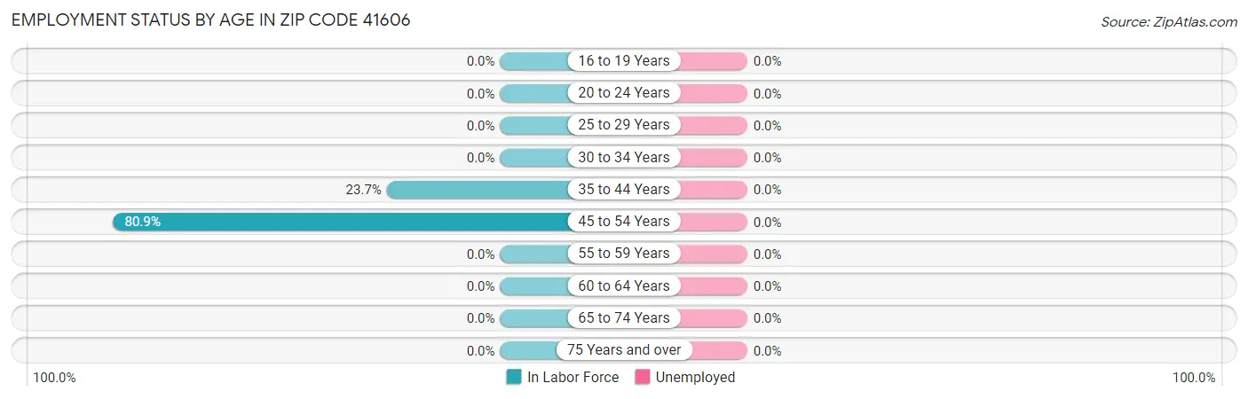 Employment Status by Age in Zip Code 41606
