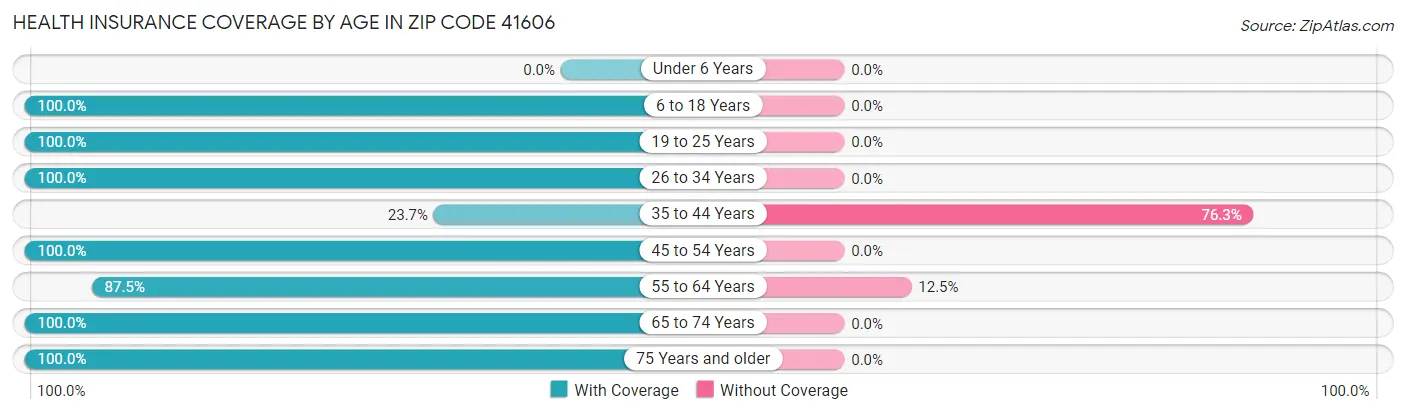 Health Insurance Coverage by Age in Zip Code 41606