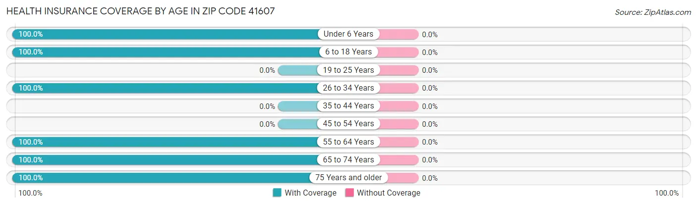 Health Insurance Coverage by Age in Zip Code 41607