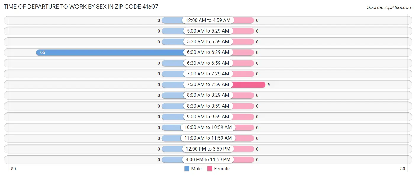 Time of Departure to Work by Sex in Zip Code 41607